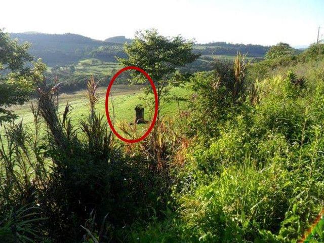 再见东京（国语版）