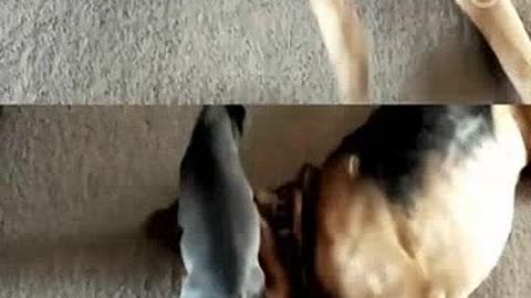 反贪风暴3(普通话版)