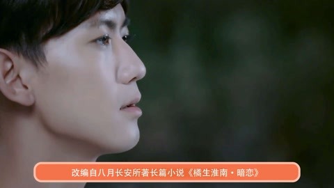 哈维的最后机会