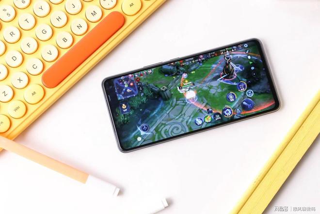 史酷比!毛茸茸的对决