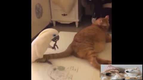 六月里来好阳光