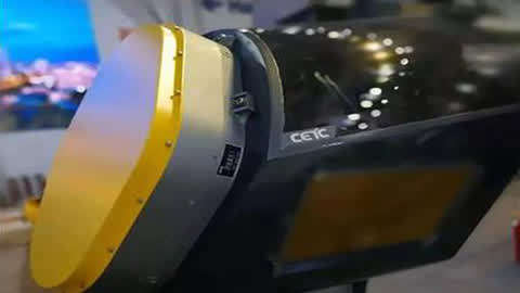 光荣之路上的狗