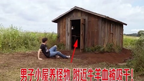 公鸡母鸡拖拉机