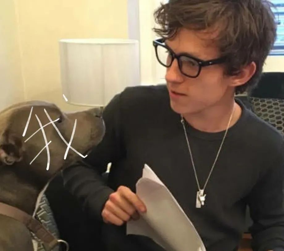 四平青年3偷天换日