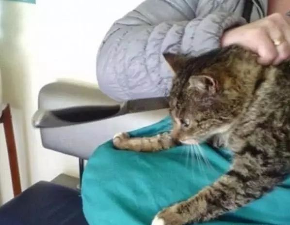 公主与青蛙(粤语版)