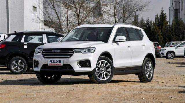 养蜂人 （英语版）