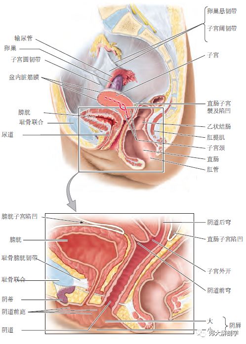 公众之敌（粤语版）