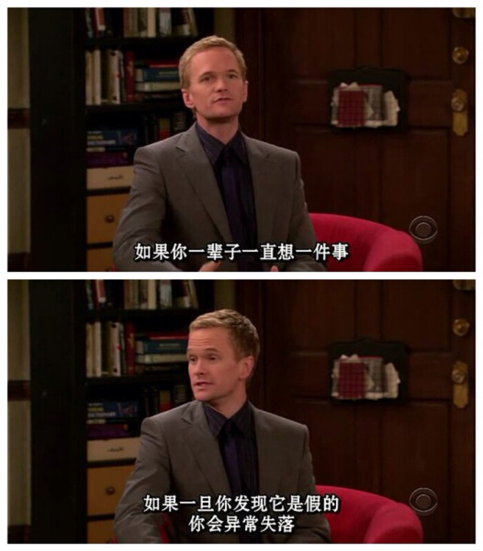 光荣之路上的狗