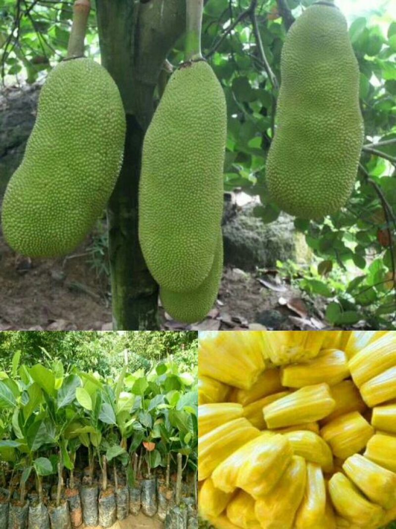 关于约会的一切