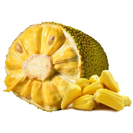 再见东京(国语版)