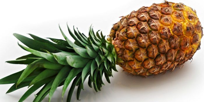 克里蒂，童话的小屋