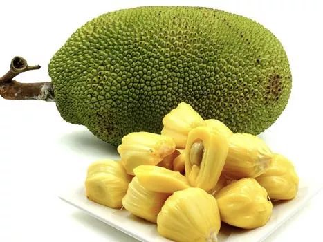 兵临城下之决战要塞